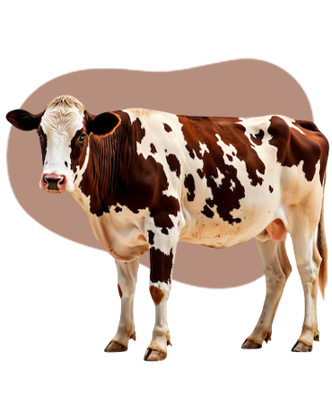 Green Tech Trading Dairy